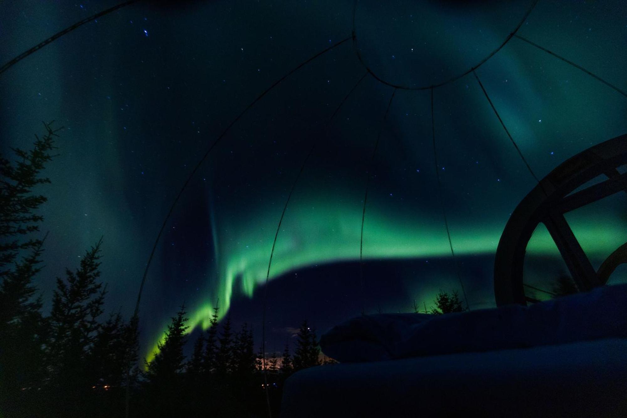 Buubble Hotel - Oelvisholt Selfoss Exterior foto